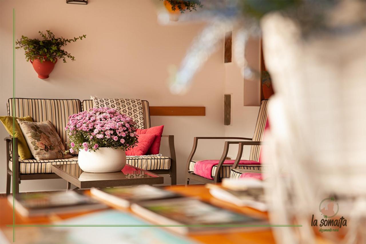 La Somaita Villa Tejeda  Ngoại thất bức ảnh